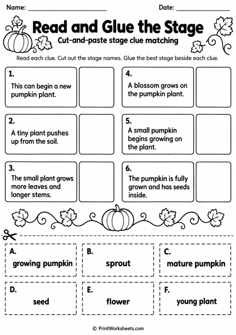 Read and Glue the Stage printable worksheet