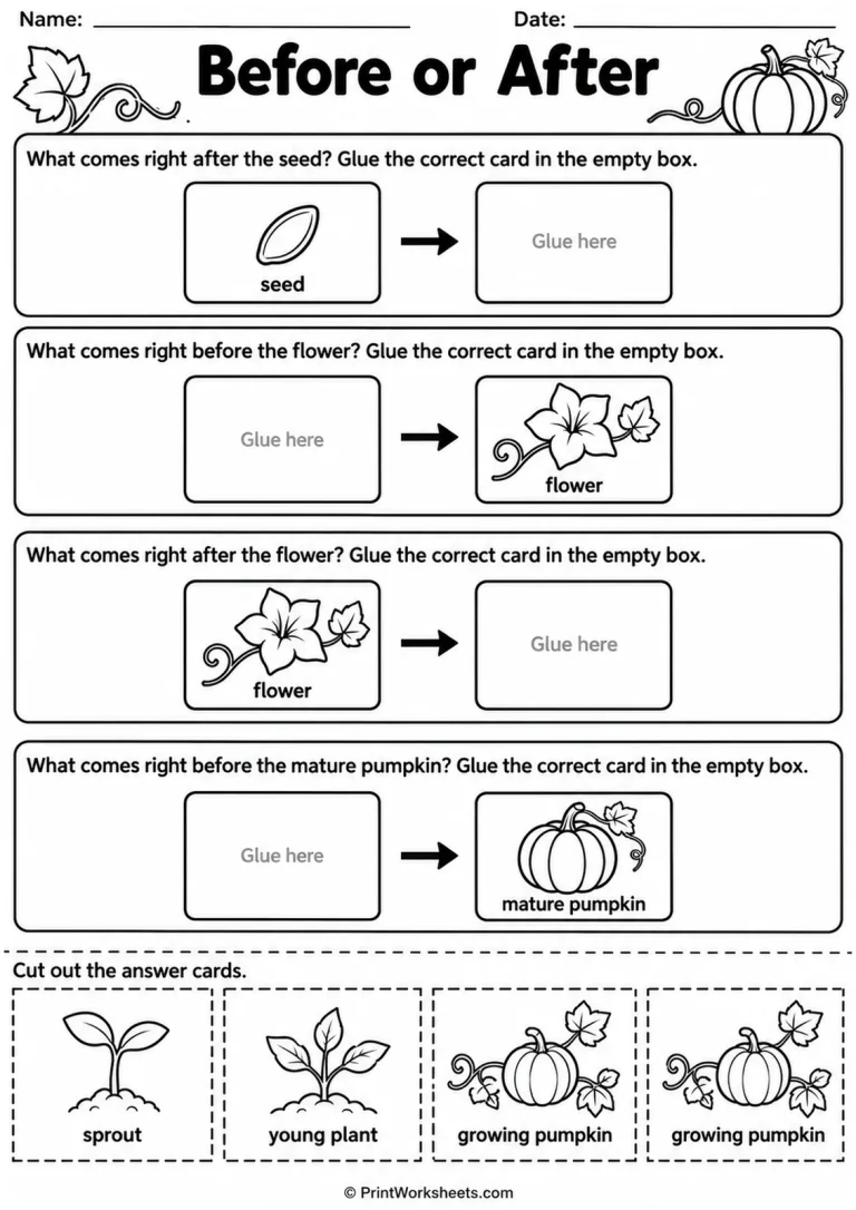 Before or After printable worksheet
