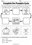 Complete the Pumpkin Cycle printable worksheet