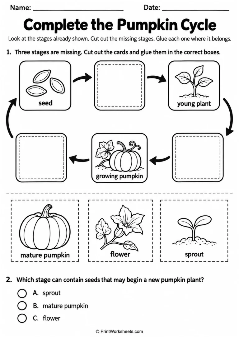Complete the Pumpkin Cycle printable worksheet