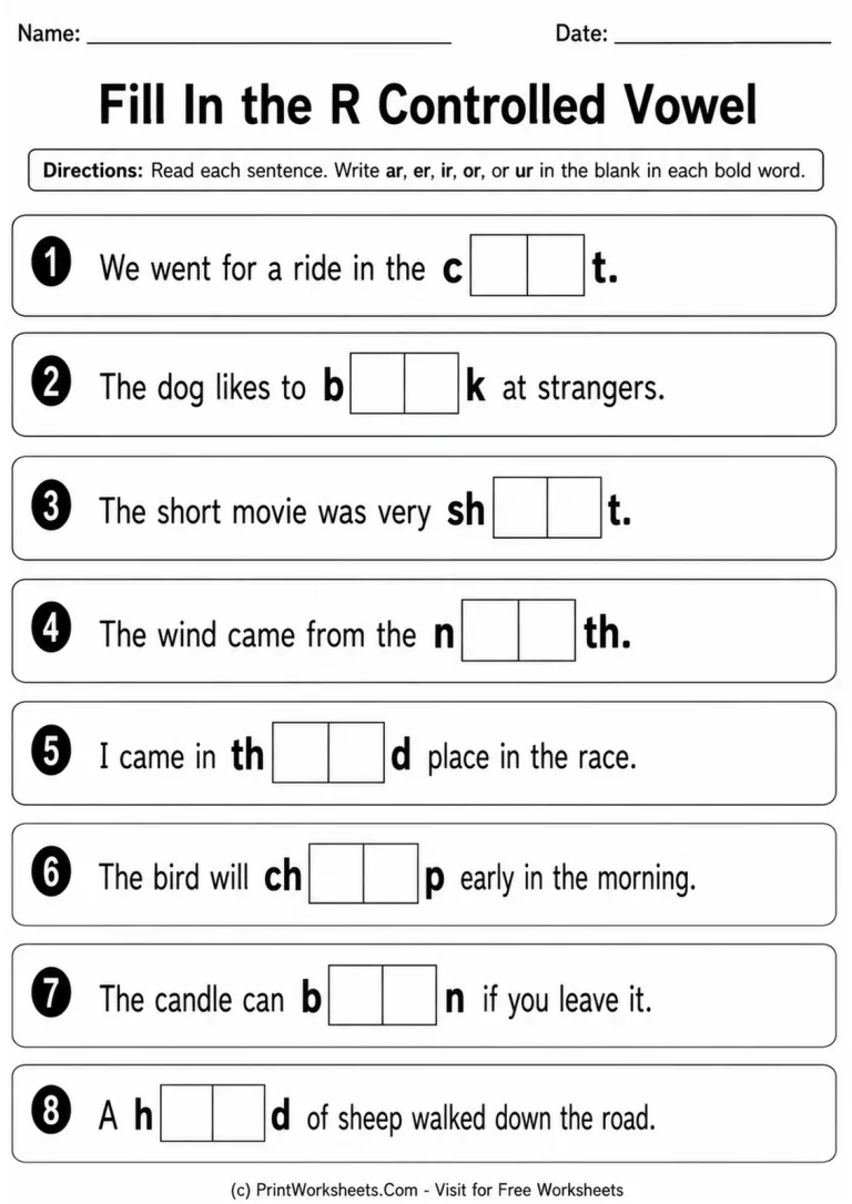 Fill In the R Controlled Vowel Fill In the R Controlled Vowel printable worksheet