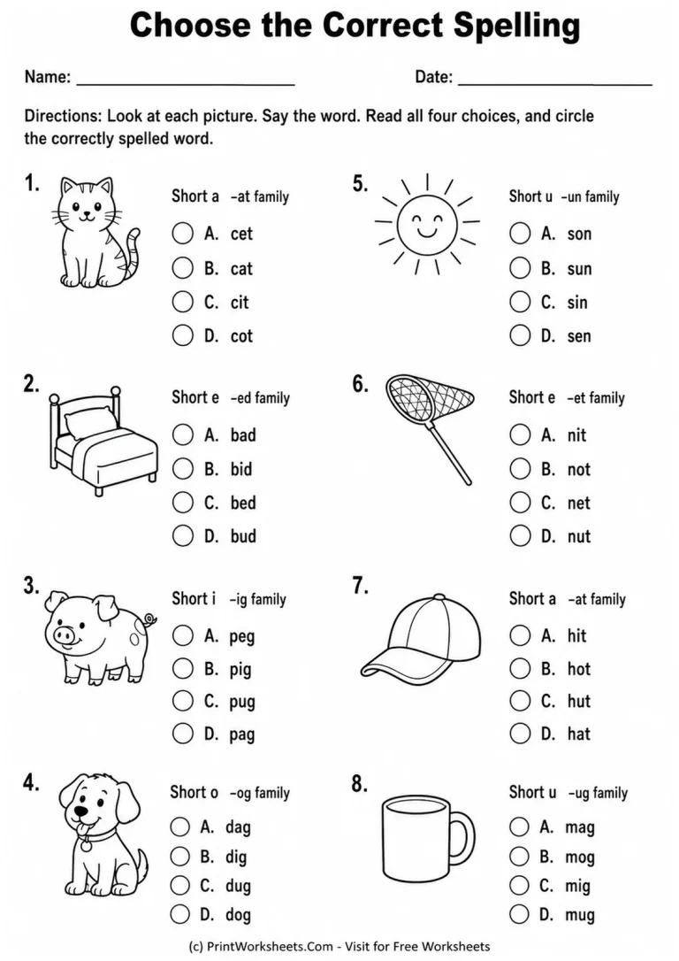 Choose the Correct Spelling Choose the Correct Spelling printable worksheet