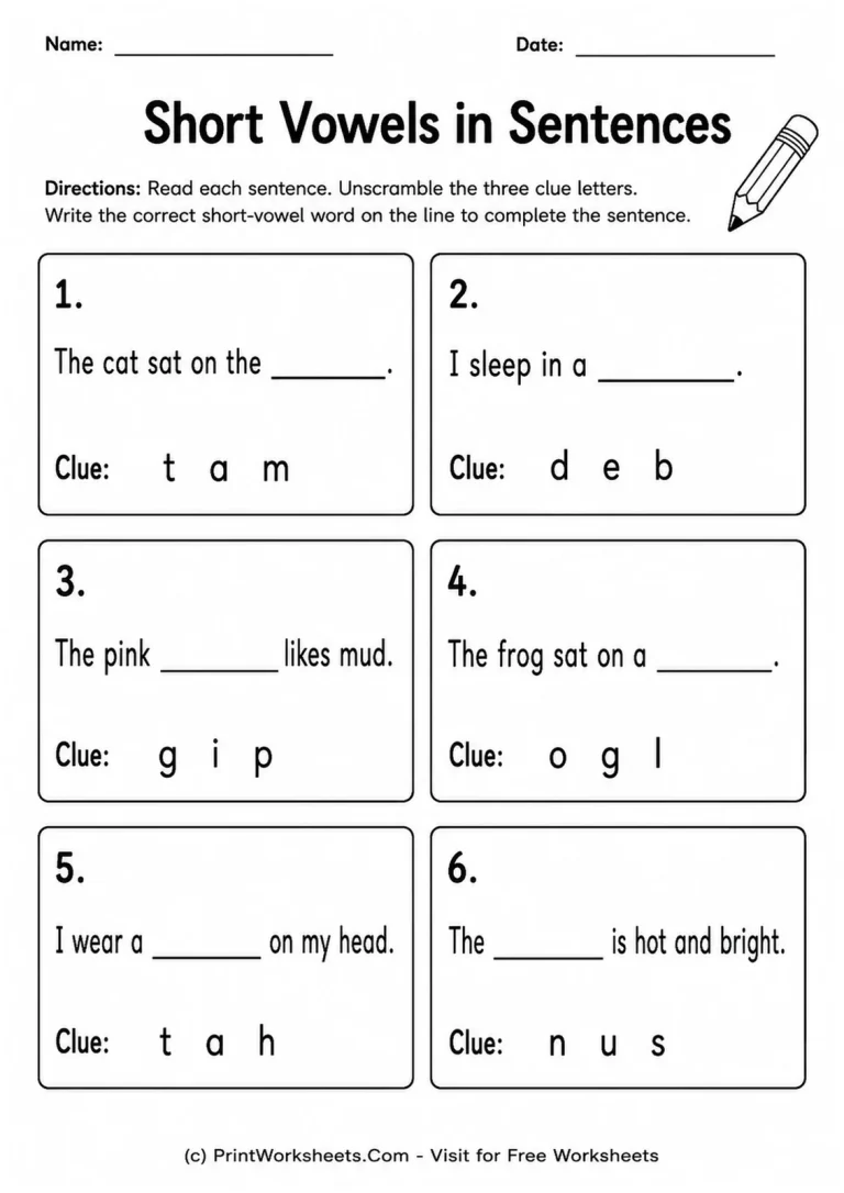 Short Vowels in Sentences Short Vowels in Sentences printable worksheet