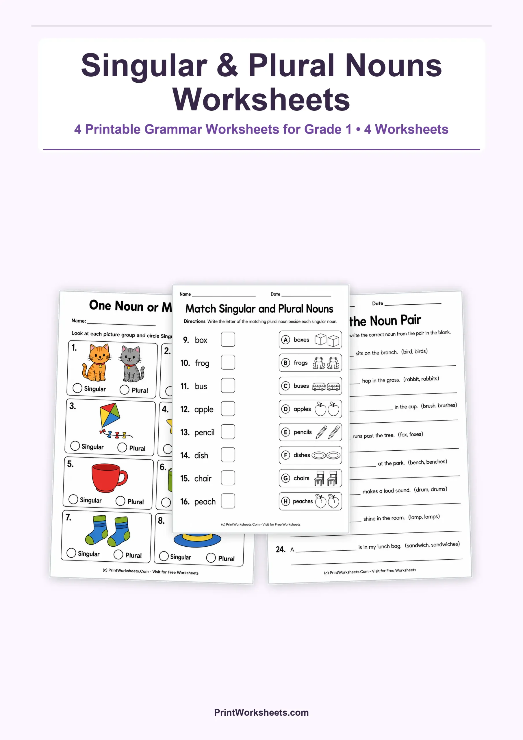 Singular and Plural Nouns Worksheets for Grade 1 – Free Printable PDF - Free Printable Worksheet
