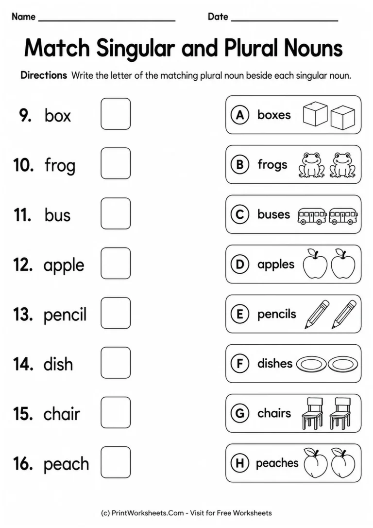 Match Singular and Plural Nouns Match Singular and Plural Nouns printable worksheet