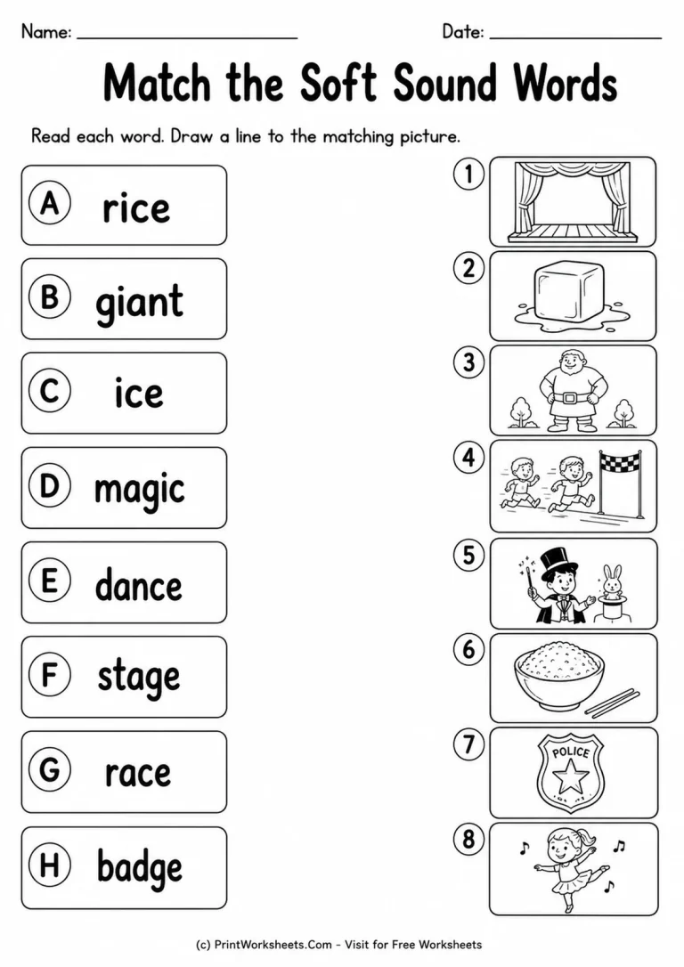 Match the Soft Sound Words Match the Soft Sound Words printable worksheet