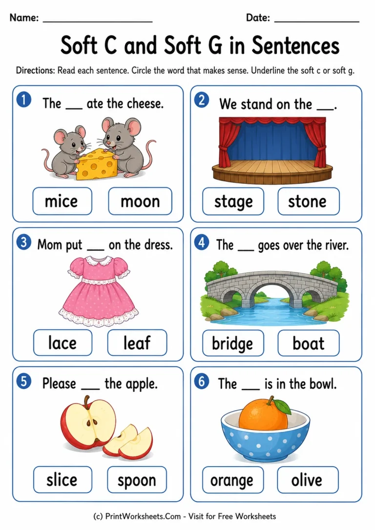 Soft C and Soft G in Sentences Soft C and Soft G in Sentences printable worksheet