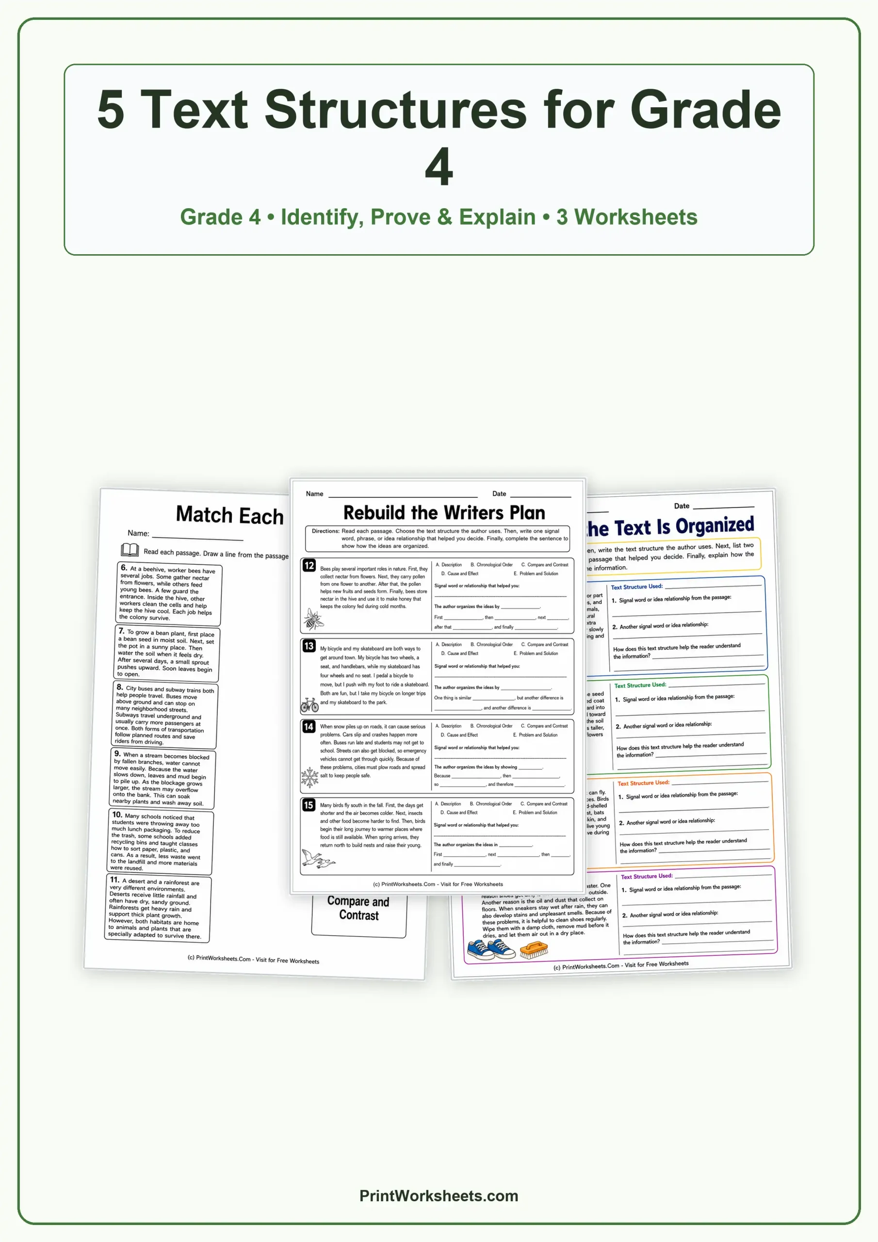Reading Comprehension Worksheet - Text Structure Reading Passages for Grade 4 – Free Printable PDF | Free Printable