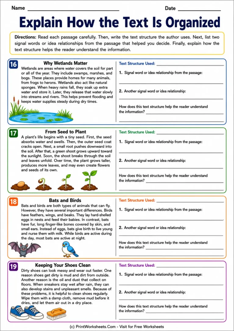 Explain How the Text Is Organized Explain How the Text Is Organized printable worksheet