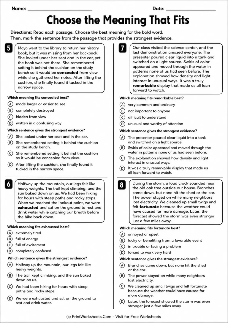 Choose the Meaning That Fits Choose the Meaning That Fits printable worksheet