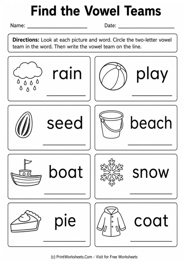 Find the Vowel Teams Find the Vowel Teams printable worksheet