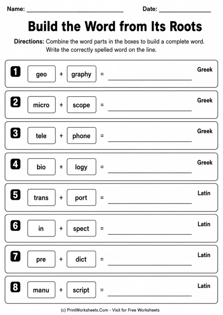 Build the Word from Its Roots Build the Word from Its Roots printable worksheet