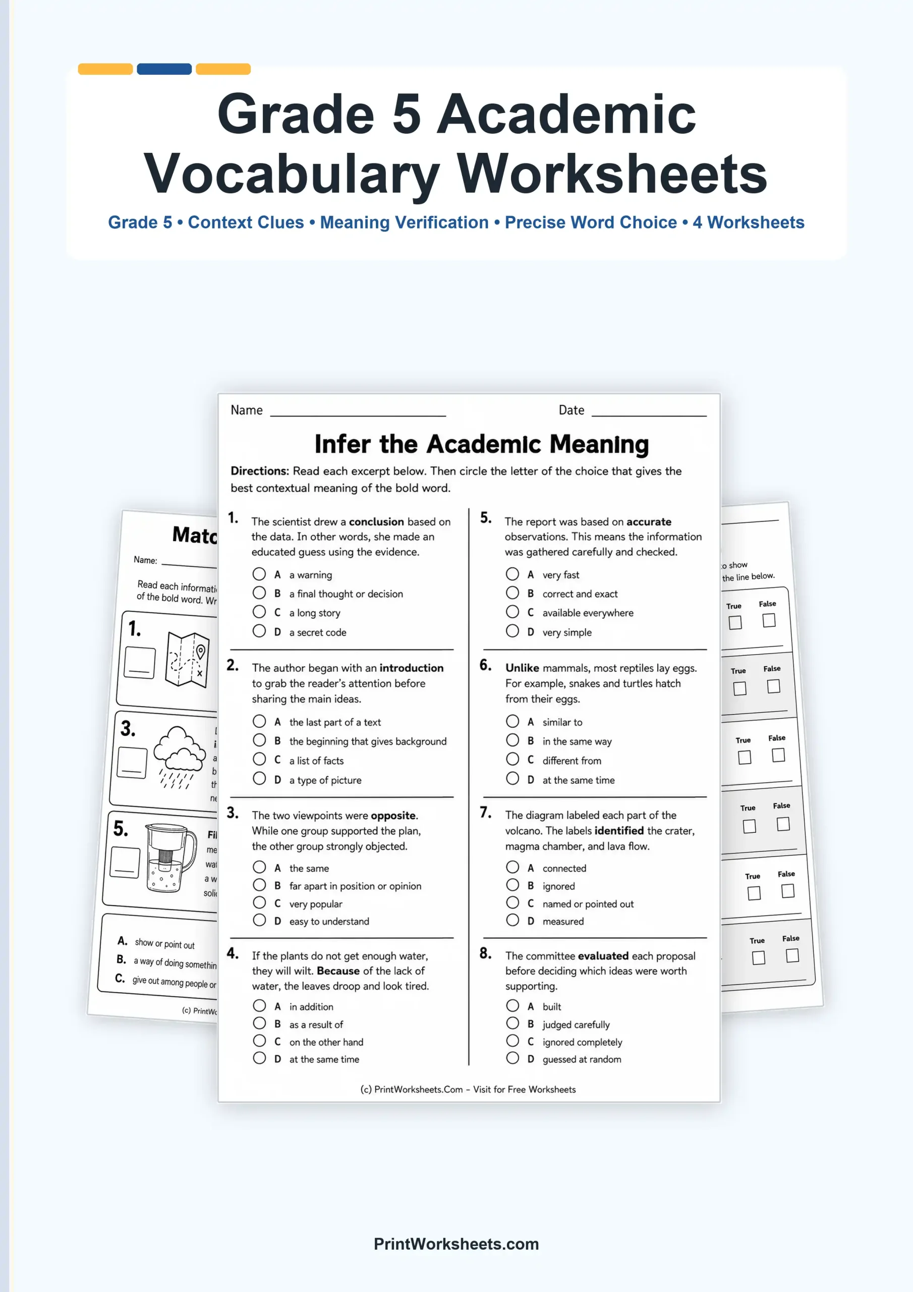 Academic Vocabulary from Informational Text Worksheets for Grade 5 – Free Printable PDF - Free Printable Worksheet
