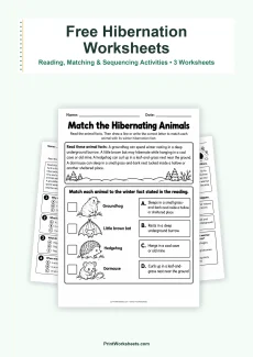 Winter Worksheets Worksheet - Animal Hibernation Worksheets – Free Printable PDF | Free Printable