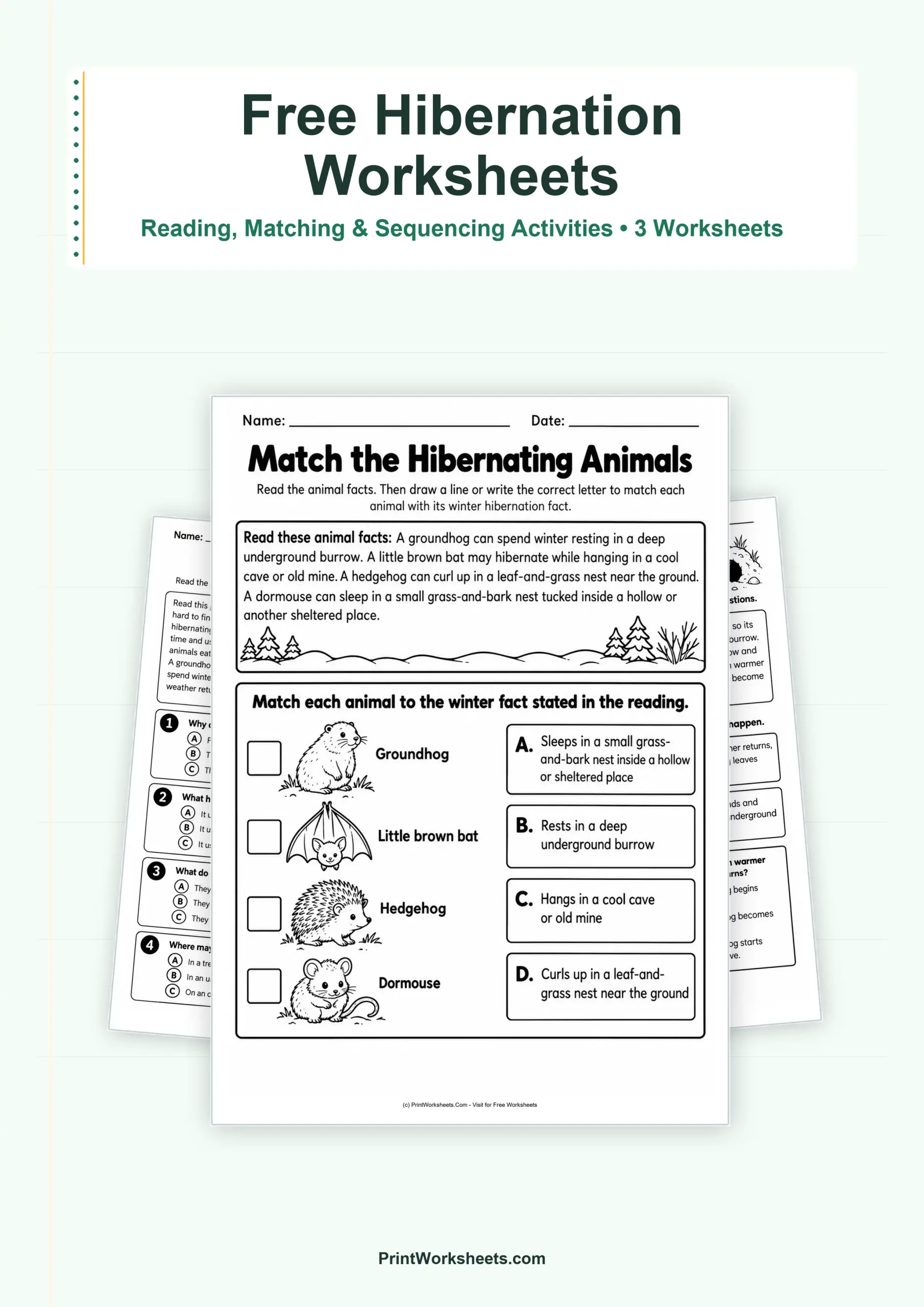 Winter Worksheets Worksheet - Animal Hibernation Worksheets – Free Printable PDF | Free Printable