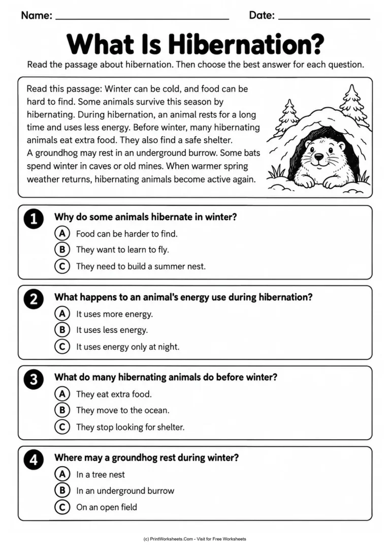 What Is Hibernation? What Is Hibernation? printable worksheet