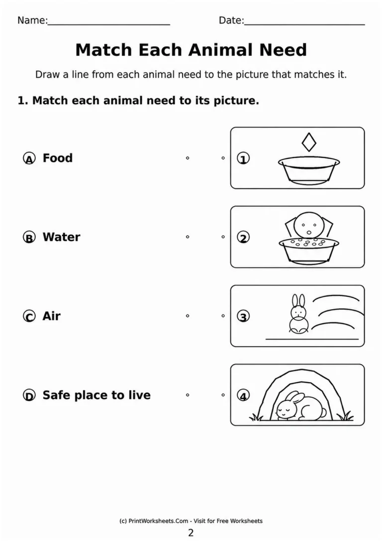 Match Each Animal Need printable worksheet