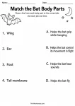 Match the Bat Body Parts printable worksheet
