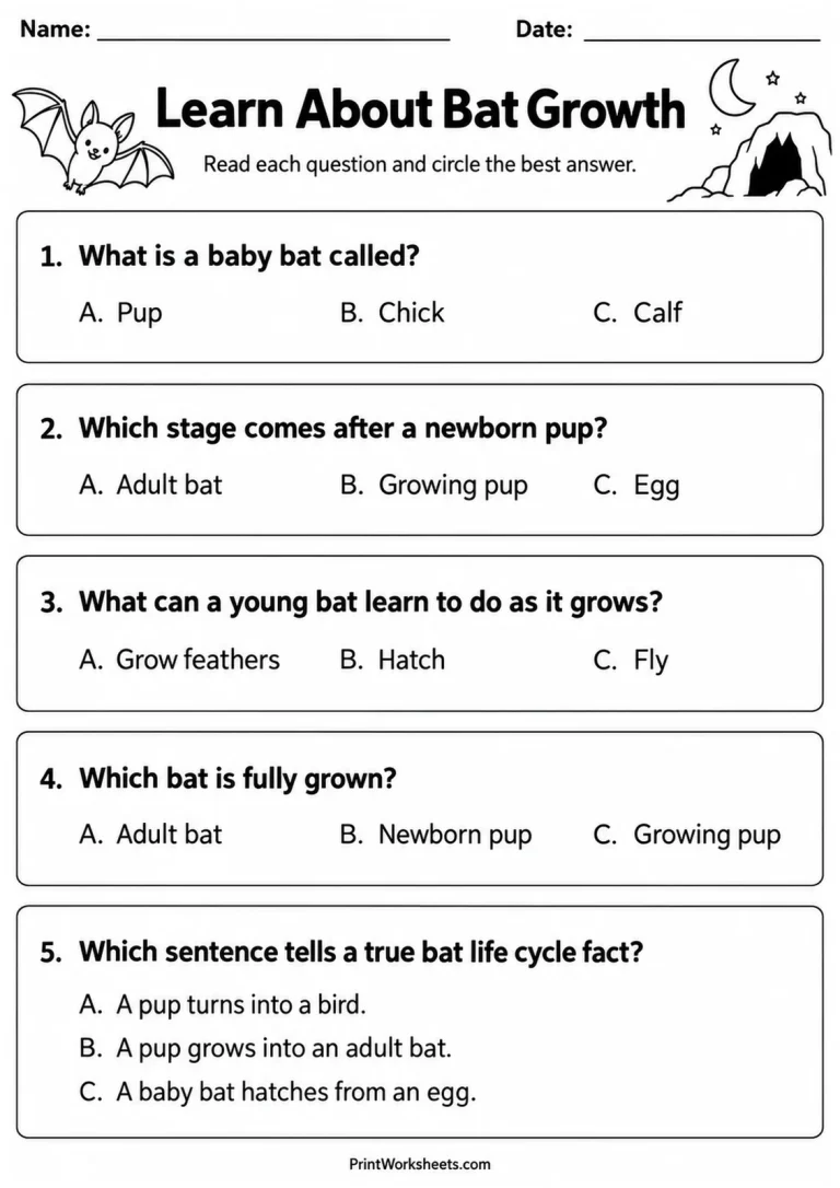 Learn About Bat Growth printable worksheet