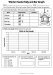 Winter Feeder Tally and Bar Graph - Grades 1-3 bird graph worksheet