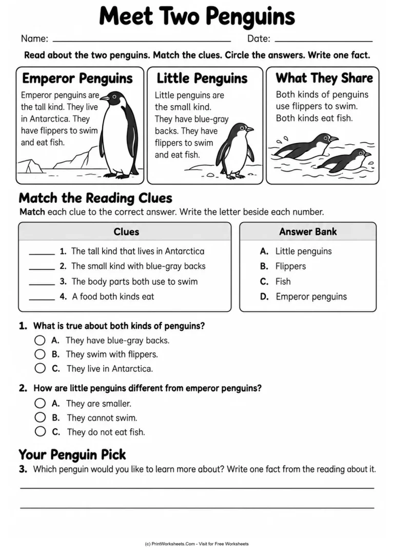 Meet Two Penguins Meet Two Penguins printable worksheet