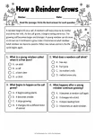 How a Reindeer Grows printable worksheet