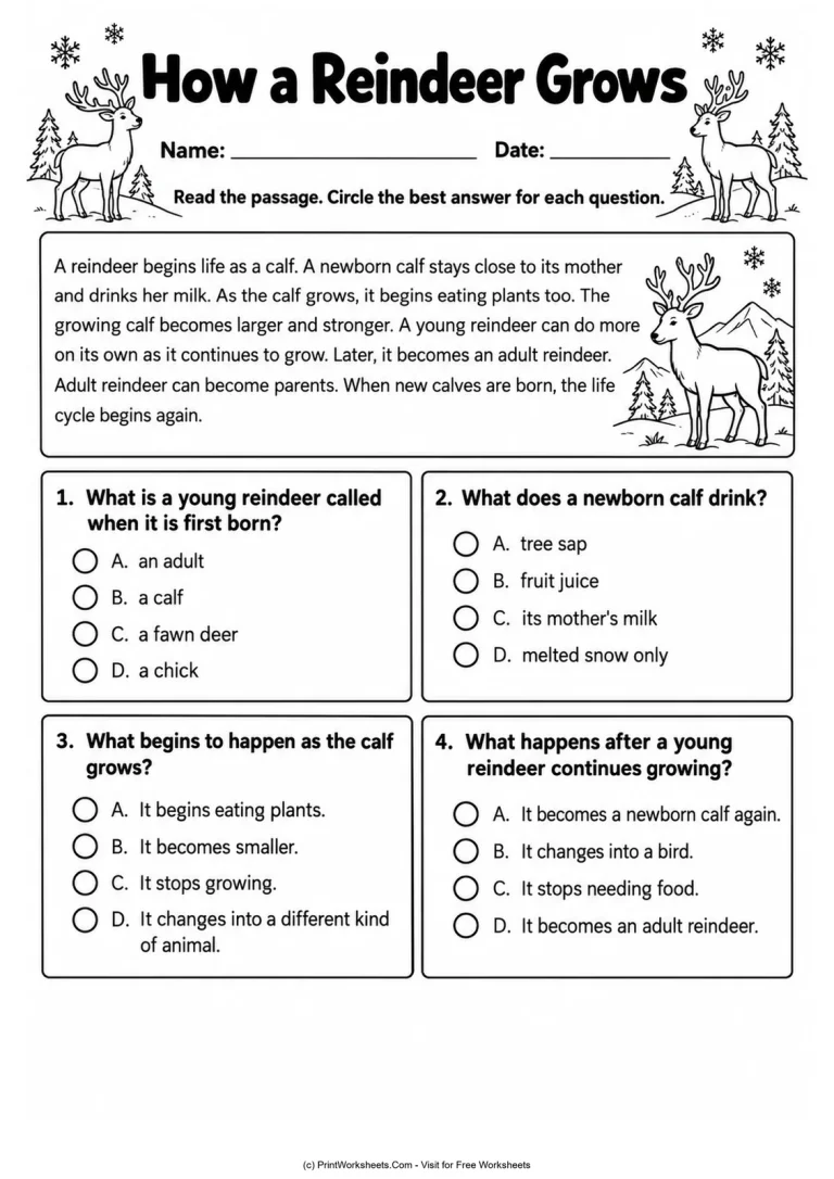 How a Reindeer Grows printable worksheet