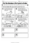 Put the Reindeer Life Cycle in Order printable worksheet