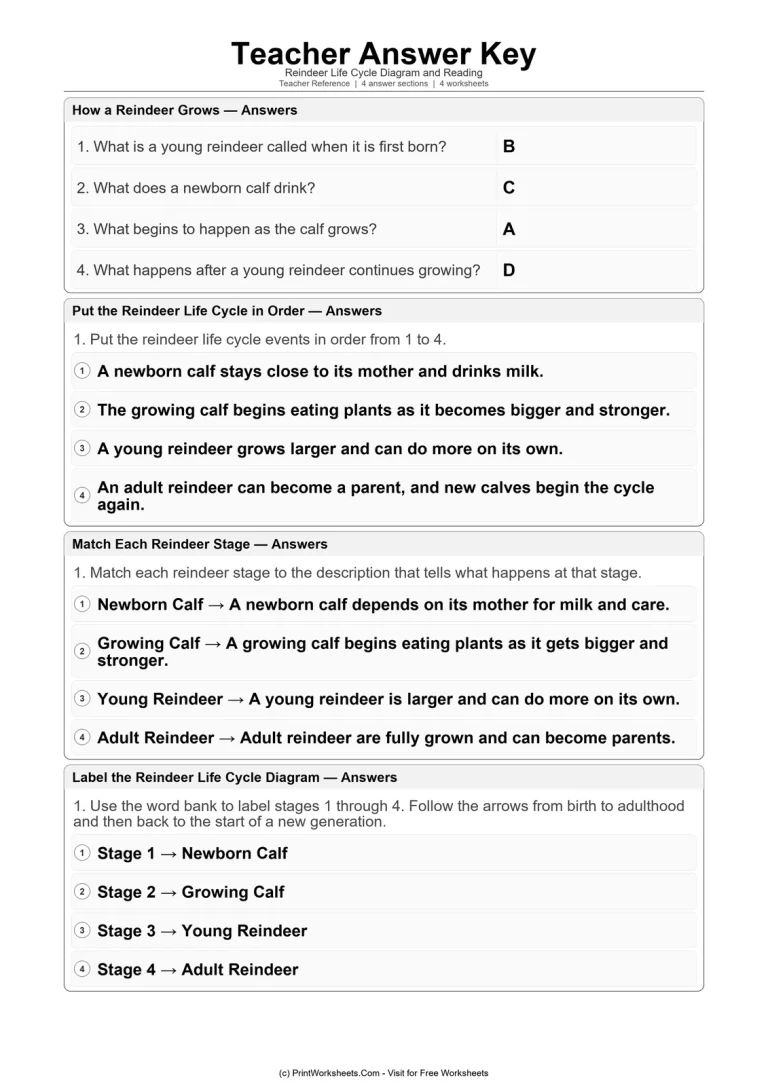 Teacher Answer Key answer key