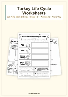 Life Science Worksheet - Turkey Life Cycle Cut and Paste Worksheets – Free Printable PDF | Free Printable