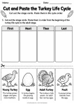 Cut and Paste the Turkey Life Cycle printable worksheet