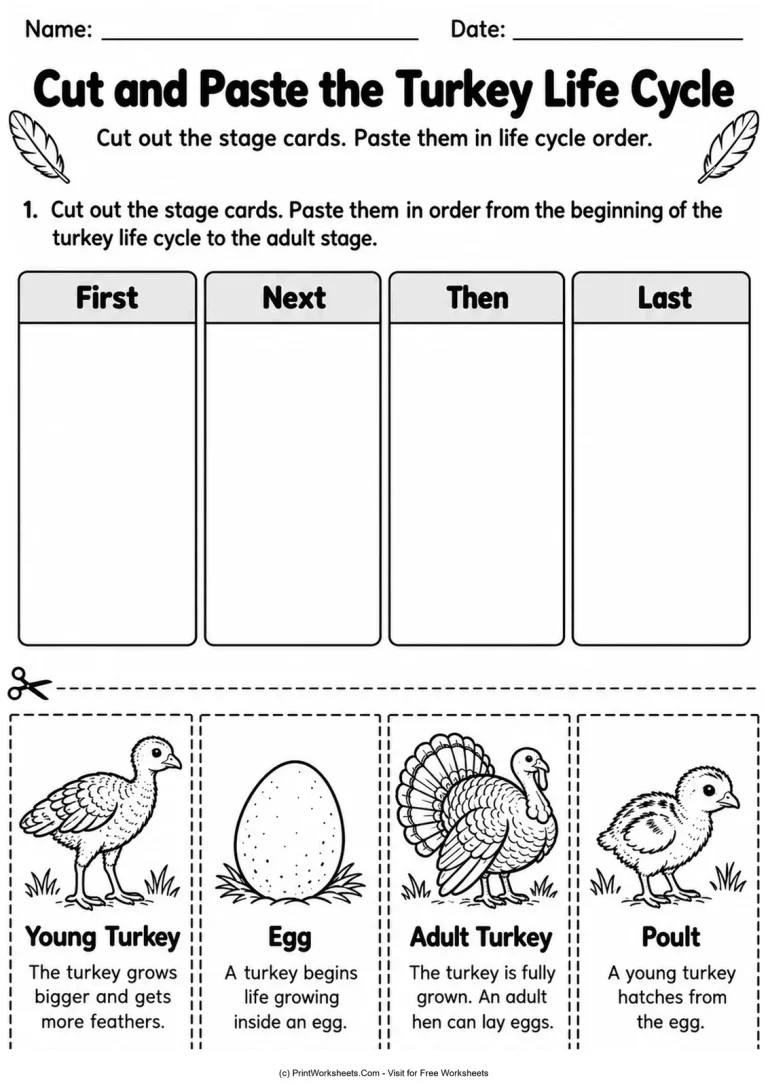 Cut and Paste the Turkey Life Cycle Cut and Paste the Turkey Life Cycle printable worksheet