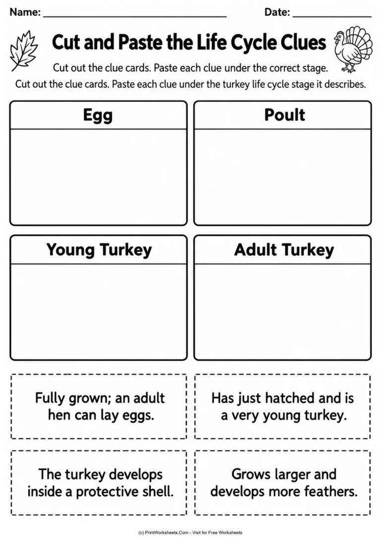 Cut and Paste the Life Cycle Clues Cut and Paste the Life Cycle Clues printable worksheet