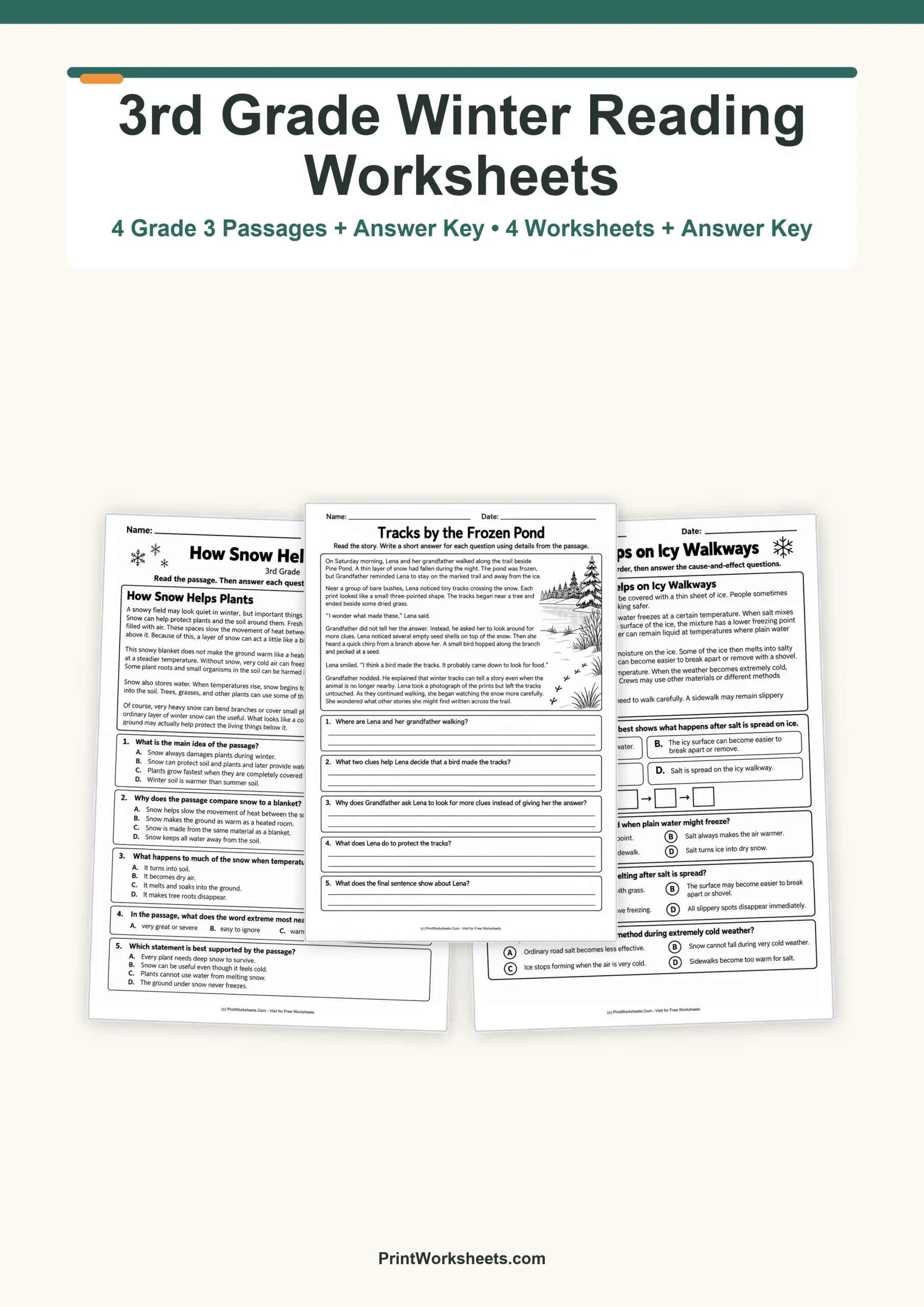 Winter Worksheets Worksheet - Winter Reading Comprehension Worksheets for 3rd Grade – Free PDF | Free Printable