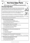 How Snow Helps Plants printable worksheet